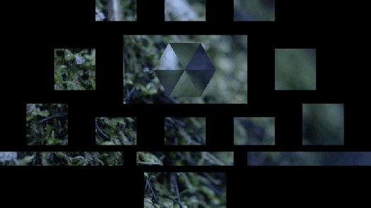 FNQc_02