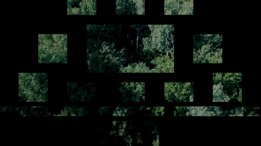 FNQc_04